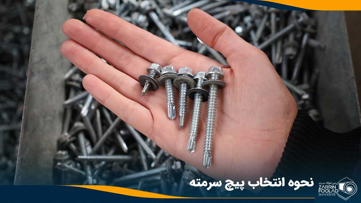 تصویر 5 عدد پیچ سرمته در کف دست یک فرد که به ترتیب اندازه چیده شده اند