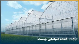 گلخانه اسپانیایی چیست؟ تفاوت گاتیک با سایر گلخانه‌ها